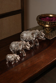 Elephant of Fortune