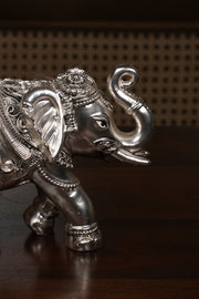 Elephant of Fortune