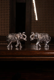 Elephant of Fortune