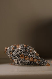 Sacred Silver Shankh