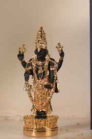 Tirupati Balaji Idol