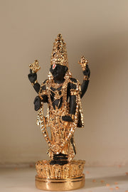 Tirupati Balaji Idol