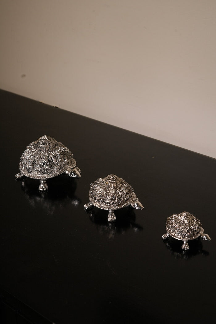 Vastu Tortoise