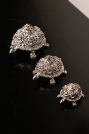 Vastu Tortoise