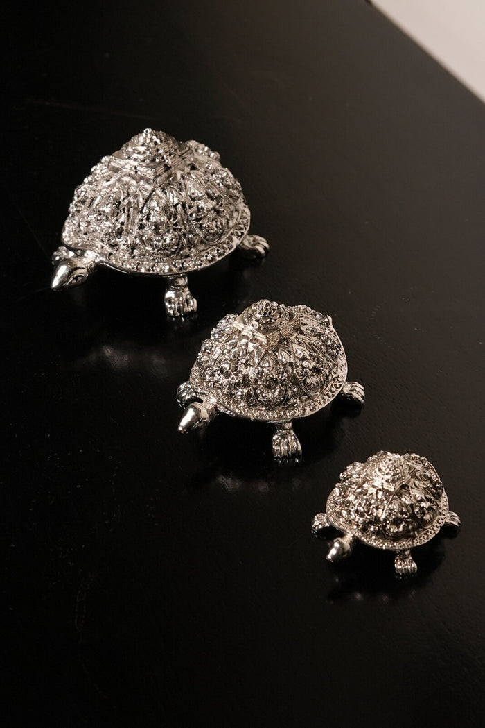 Vastu Tortoise